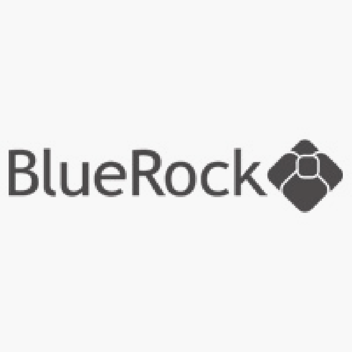 BlueRock logo